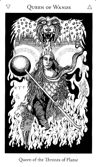 Queen of Wands — Hermetic Tarot tarot card
